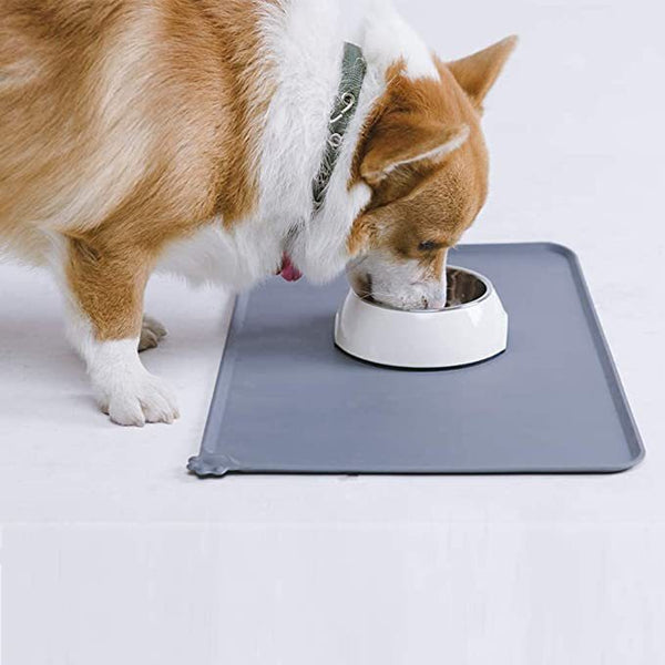 Dog  Feeder Dish