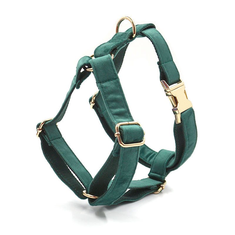 A stylish dog collar and leash set with a matching design, perfect for safe and comfortable walks.