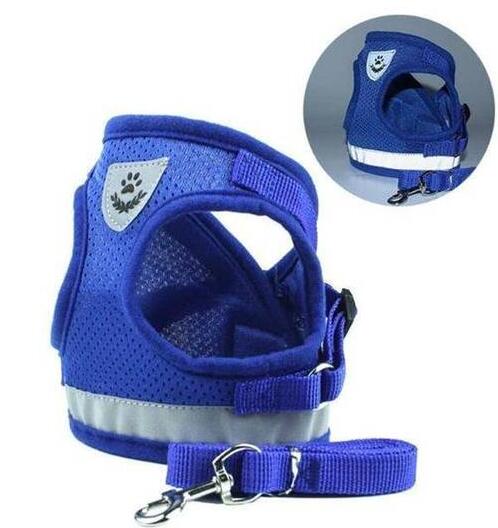 Dog Harness And Leash