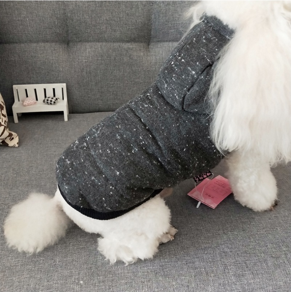 dog Winter clothes