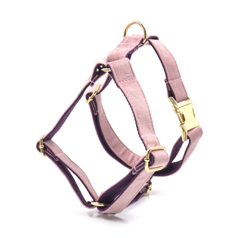 A stylish dog collar and leash set with a matching design, perfect for safe and comfortable walks.